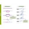 Montagen Guide