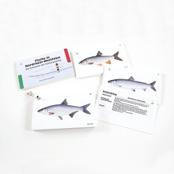 Fische in Nordrhein-Westfalen