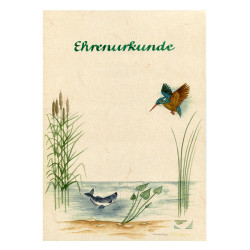 Ehrenurkunde "Eisvogel"